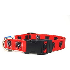 Albania Dog Collar | Albania Flag | Martingale Slip-On | Made in NJ, USA | for Medium Dogs | 3/4 inch wide