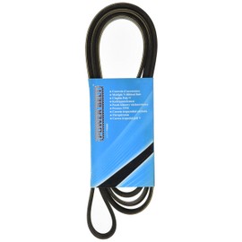 MAPCO V-Ribbed Belts (262373)