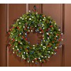 QVC 22" Indoor/Outdoor Boxwood & Rosebud Wreath by Kim Gravel