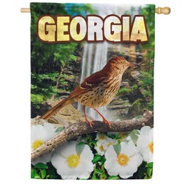 America Forever Georgia State House Flag- 28 x 40 inches - Georgia Brown Thrasher USA Regional Yard Outdoor Decorative Double Sided Flag