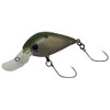 Nories MEET33DR-F 386M Kitakanto Olive