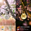 SOLPEX Hanging Solar Lights Outdoor, 8 Pack Decorative Cracked Glass