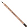 Derwent Lightfast Pencil - Autumn Brown