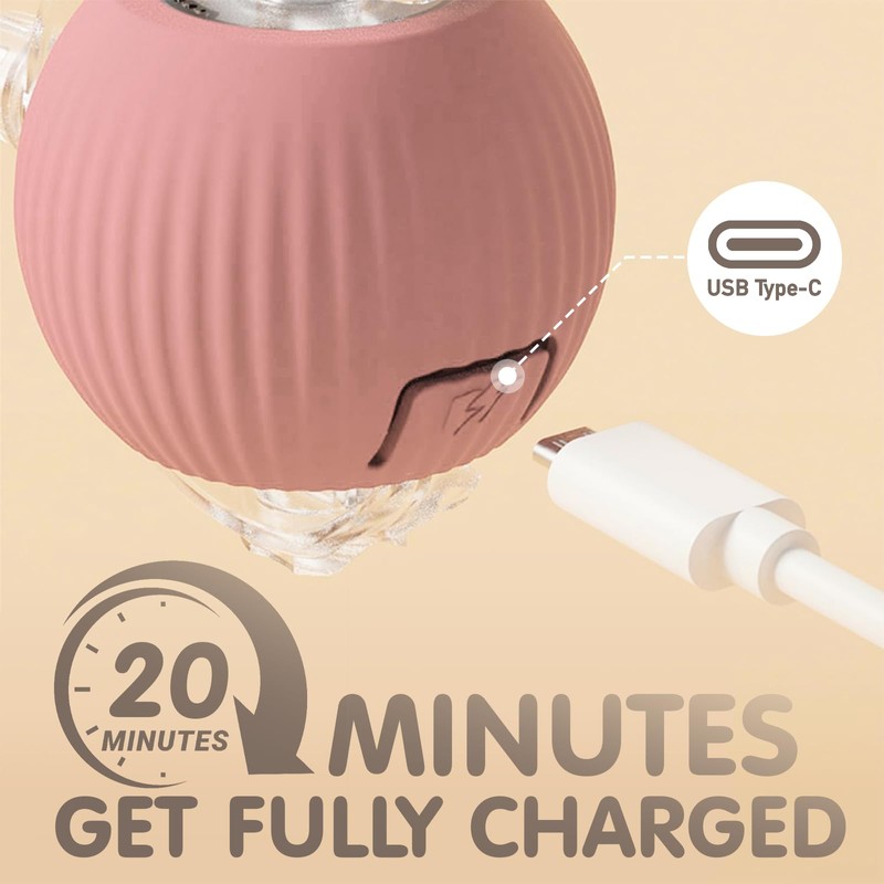 Rocfish Interactive Cat Toy for Indoor, Smart Automatic Cat Chase