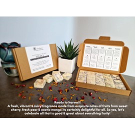 Fruity Collections - Highly Scented Botanical Wax Melts Collections (15 x 13.5g Hand Crafted) - Vegan Friendly & Cruelty Free - Plastic Free - Provide 8 to 10hrs scents/cube - Made in the UK (Fruity)