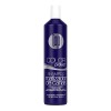 top color Shampoo Matizador Azul Top Color Reflejo Cenizo/plata 350ml