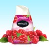 Renuzit Adjustable Air Freshener Gel, Forever Raspberry, 7 Ounces (6