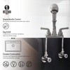 Wasserman 2 Handle Utility/Laundry/Shop Sink Faucet with Pull Out Sprayer