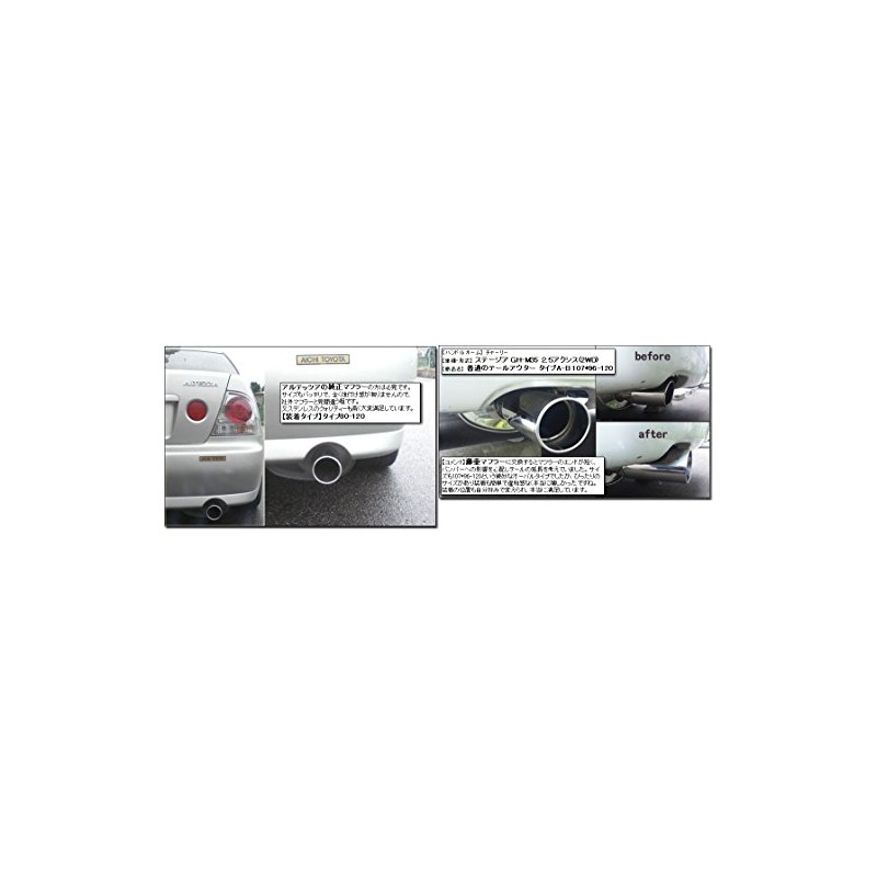 SFC Muffler Cutter, Muffler Hidden in Bumper, Extends Tail (Stainless