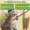 Katzenminze Sticks,12 Stück Matatabi-Kausticks,Matatabi Stick Katze,Catnip Sticks