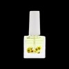 Geonics Gionyx Geonyx Flower Oil - Lemon Balm 17ml / Gionyx 지오닉스 플라워오일 - 레몬밤 17ml