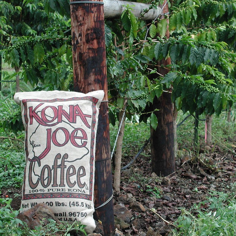 Kona Joe Gourmet Coffee Blend, Dark Roast Whole Bean Coffee