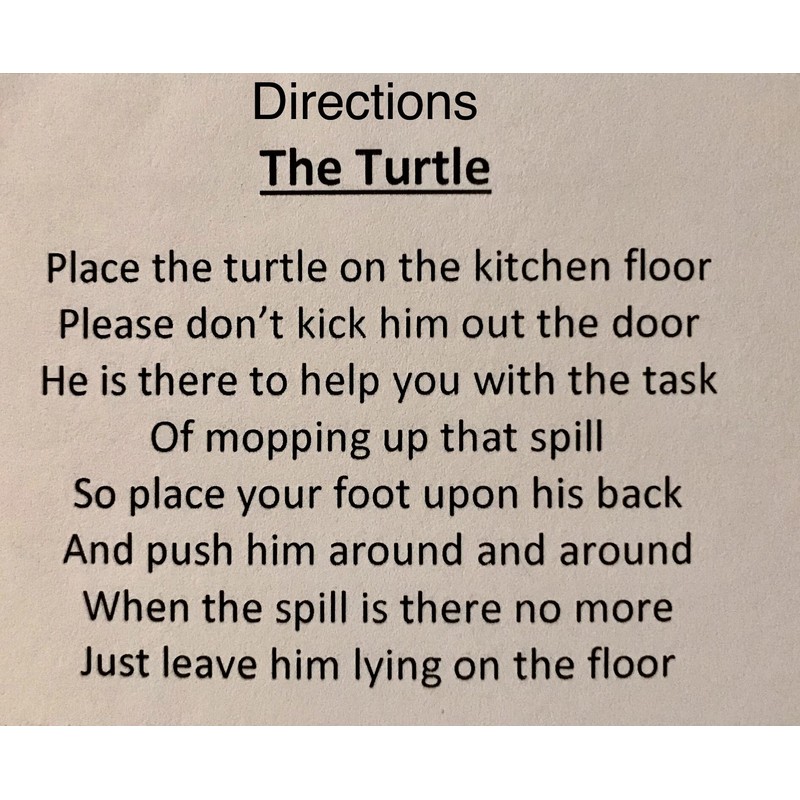 Kitchen Turtle Floor Mop Handmade in America for Small Kitchen