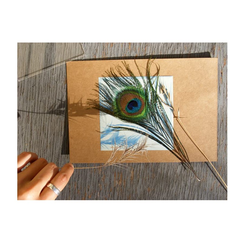 4" x 4" Sunprint Kit