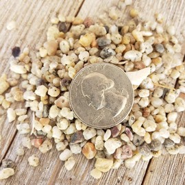 1 Lb 1/8 White Criva River Rock Cactus and Succulent Top Soil Dressing Cacti Cactus Succulent Real Live Plant