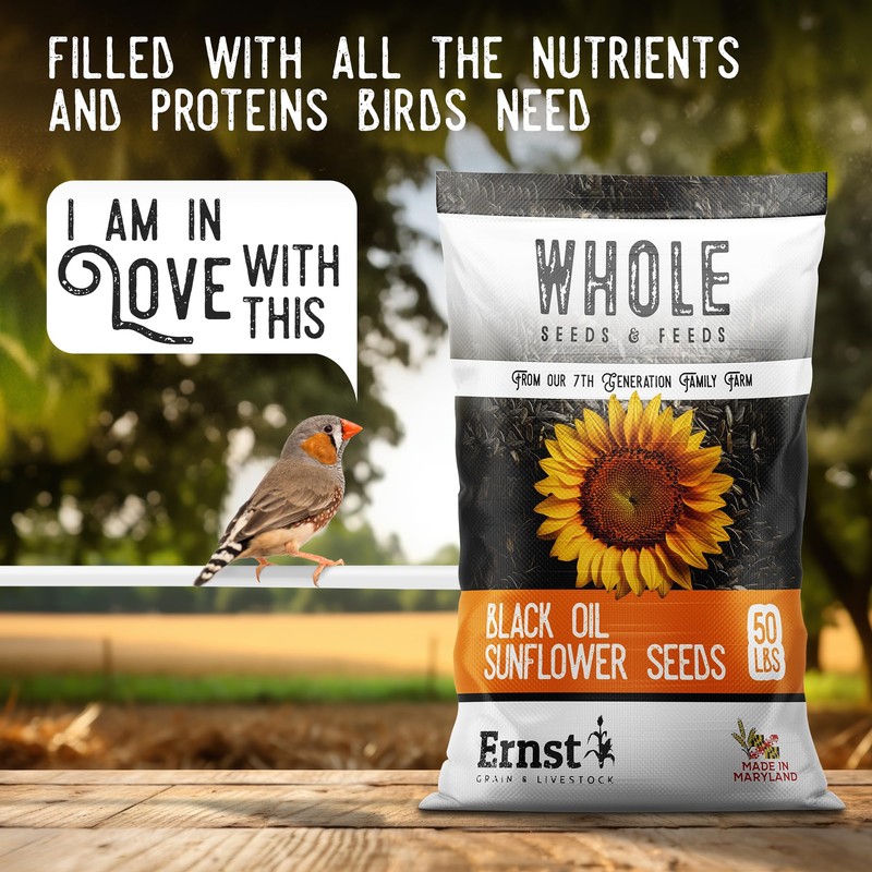 Ernst Grain & Livestock Black Oil Sunflower Seeds - Birdseed