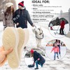 2 Pairs of Lambskin Insoles, Heat Insoles for Shoes, Warm