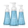 Method Method Foaming Hand Soap, Sea Minerals, Paraben and Phthalate