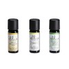 Ellia Essential Oil Set, Breath Deep, with Peppermint, Open Up