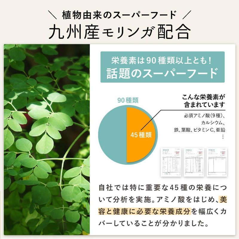 九州アミノシェイクトライアル ソフトプロテイン 50g 植物性原料100% 九州産 モリンガ きな粉 ソイプロテイン プロテイン (5種セット)