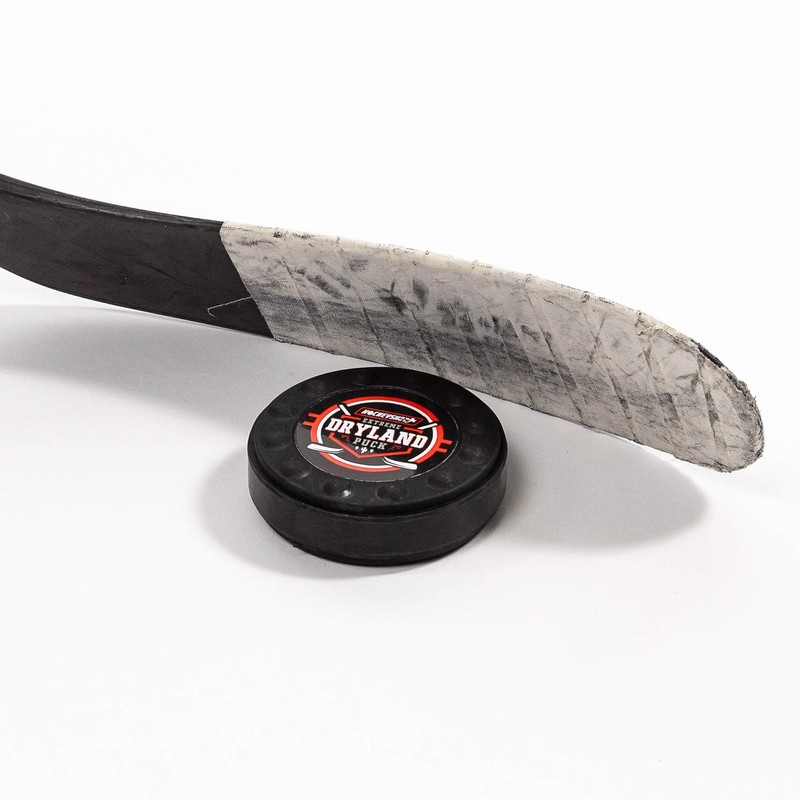 HockeyShot Dryland Puck