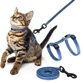 Giecooh Cotton Cat Harness and Leash Set, Escape-Proof Adjustable Soft Harness for Kitten, Small & Large Cats, Ideal for Travel & Outdoor Walking (Dinosaur)