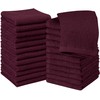 Utopia Towels 24 Pack Cotton Washcloths Set - 100% Ring