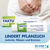 Faktu Lime Ointment x 25g