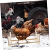 Chick Standing Bar Chicken Roosting Bar for Wooden Poultry Toy