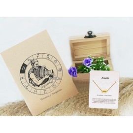 Halskette Sternzeichen Edelstahl Schöne Karte Bedeutung Sternzeichen Anhänger Horoskop Für Frauen oder Mann Geburtstagsgeschenk, Standard, Edelstahl, Nicht zutreffend