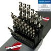 WELIQU High-Performance Twist Drill Bit Set Made of HSS-G M2