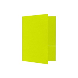 9 x 12 Presentation Folders - Wasabi - Green - Pack of 25 | Perfect for Tax Season, Brochures, Sales Materials and so Much More! | LUX-PF-L22-25