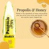 BioRLX Propolis and Honey Lip Balm - Natural Color-Free Moisturizing