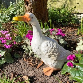 Best Value Here Resin White Duck Animal Garden ornaments Outdoor Patio Ornament Ducks Figurine Law Balcony Sculptures Ducking Statue for living room home decoration (Duck21)