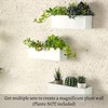LaLaGreen Wall Planter (3 Pack, 14 Inch) Large Wall Mount