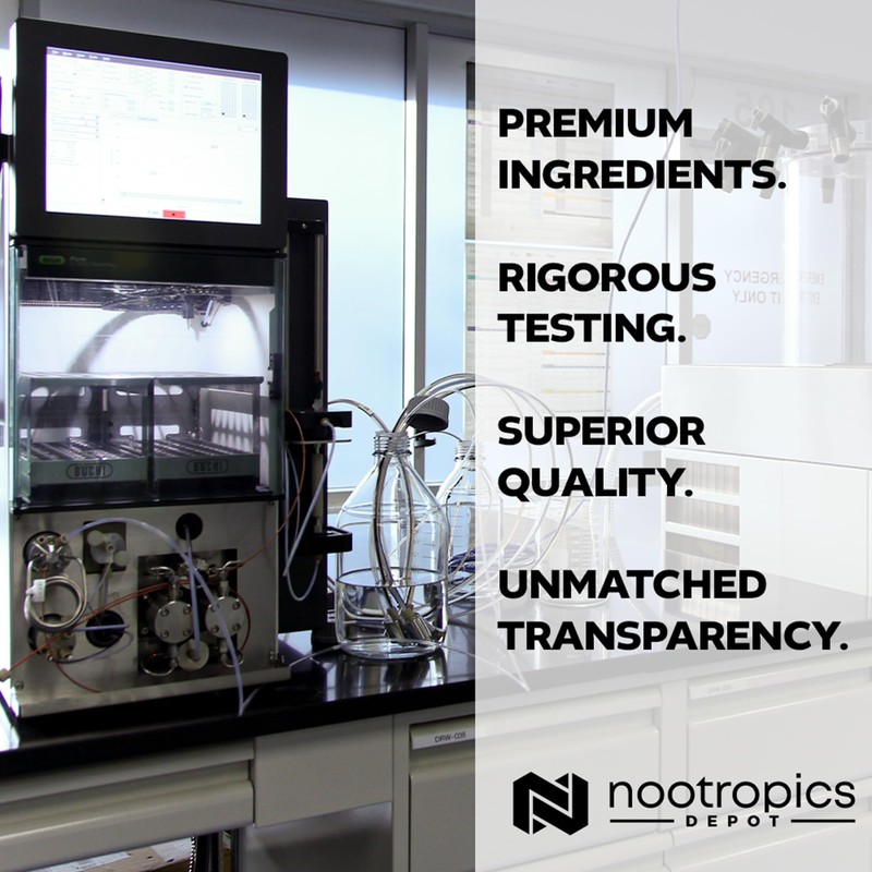 Nootropics Depot MicroZinc Capsules | 20mg | Optimized Zinc Supplement