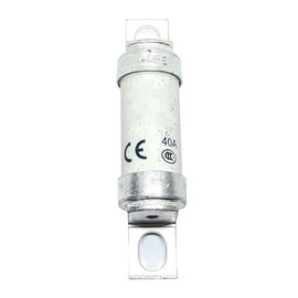 1 fusible tipo T 40FE (40 amperios) 40A 690V