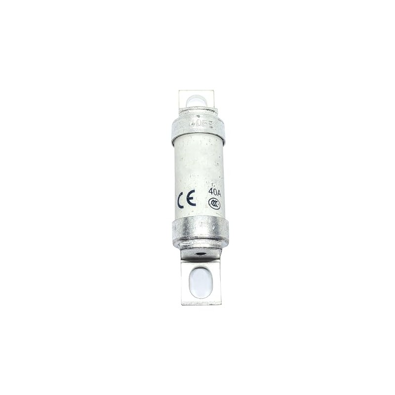 1 fusible tipo T 40FE (40 amperios) 40A 690V
