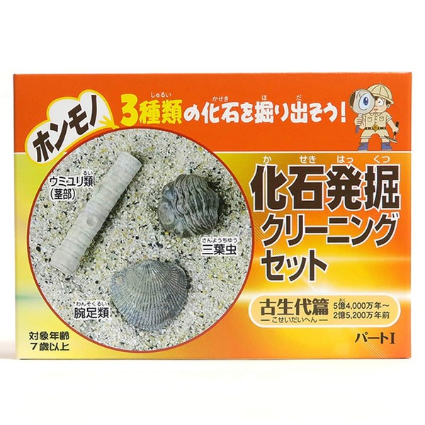 SCIENCE New Fossil Excavation Cleaning Set (3 Types of Fossils) Part I / Paleozoic Edition