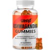WIXAR NATURALS Ashwagandha Gummies with Turmeric and Black Pepper Extract