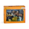 Schleich 41456 - Wild Life North American forest dweller