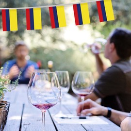 32FT Small Colombia Pennant Flag Bunting,30 PCS Mini String Banner Stripes Colombian Decor Rectangle for Holiday Restaurant Home Party School