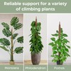 63'' Bendable Moss Pole Monstera Plant Support for Large Climbing