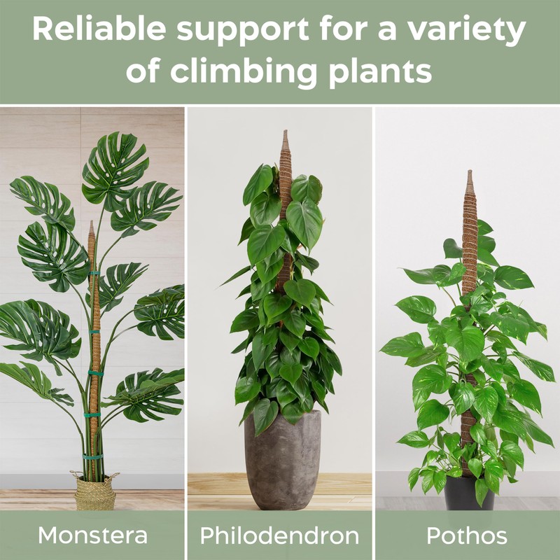 63'' Bendable Moss Pole Monstera Plant Support for Large Climbing