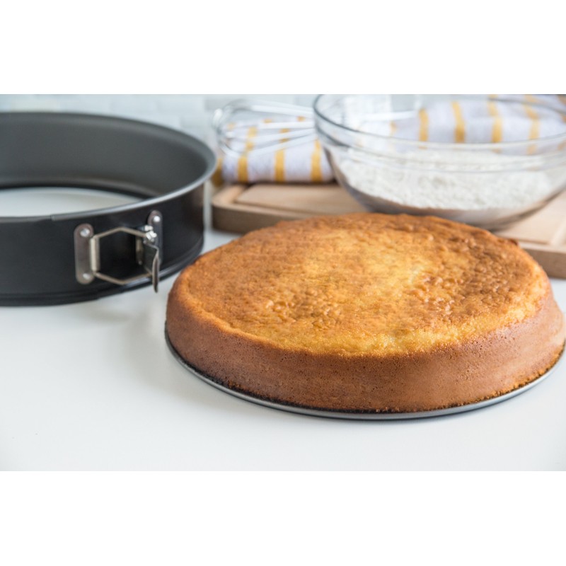 Fox Run 4601 Non-Stick Springform Pan, 10-Inch