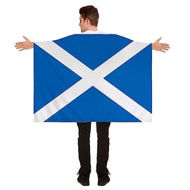 Best Dressed Scottish Flag (Saint Andrews Cruz)