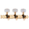Golden Gate F-2112 Classical Guitar Tuners - 2 Planks (3+3)