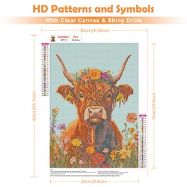 QENSPE 5D Diamond Painting Cow Diamond Art Kits for Adults, Round Full Drill Highland Cow Diamond Painting Kit for Beginner, DIY Gems Art Craft for Home Wall Decor 12x16 inch