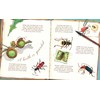 A Beetle Is Shy (Nature Books): 1 (Family Treasure Nature
