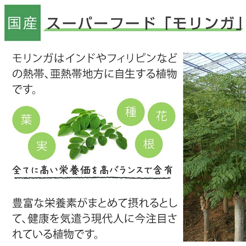 nichie モリンガ茶 焙煎 沖縄県産 80g